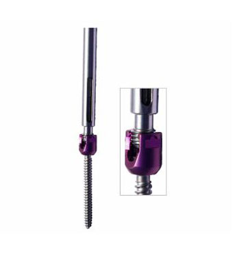 pedicle screw system pedicle screw system