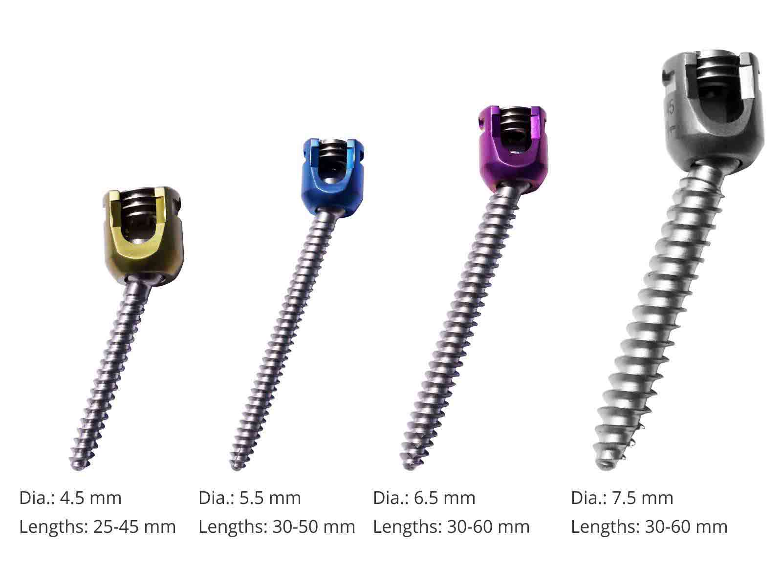 Polyaxial Pedicle Screws