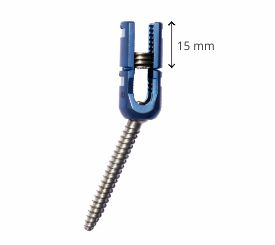 Polyaxial Reduction Screw