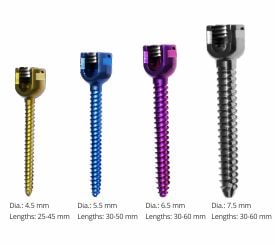 Monoaxial Pedicle Screws