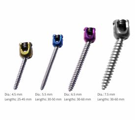 Polyaxial Pedicle Screws